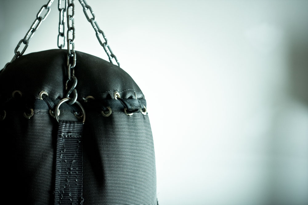everlast omniflex review